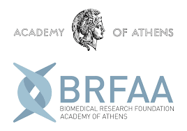 BRFAA-Logo.png